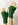 Schachenmayr Merino 120
