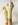Wollmeise Pure Natur 