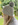 Schachenmayr Merino extrafine Cotton 120